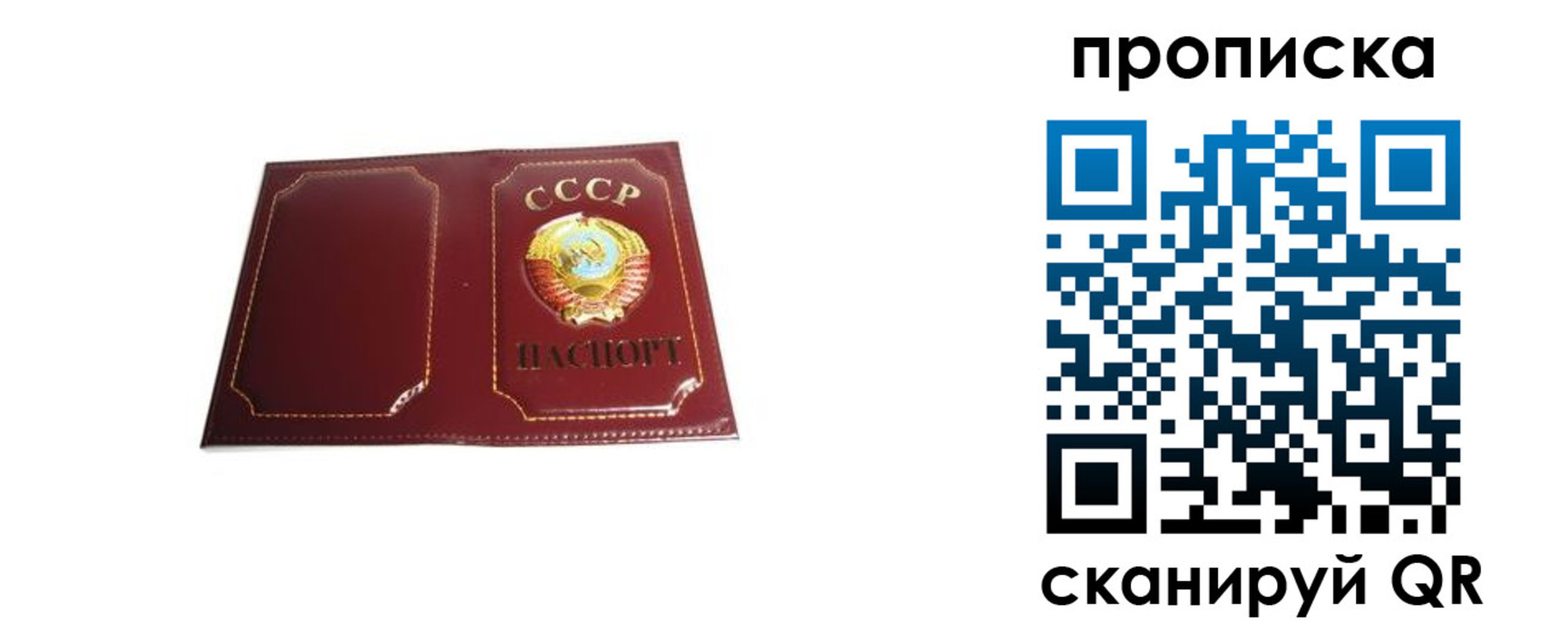 прописка гарантия в Балашихе
